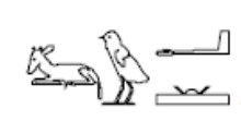 term image