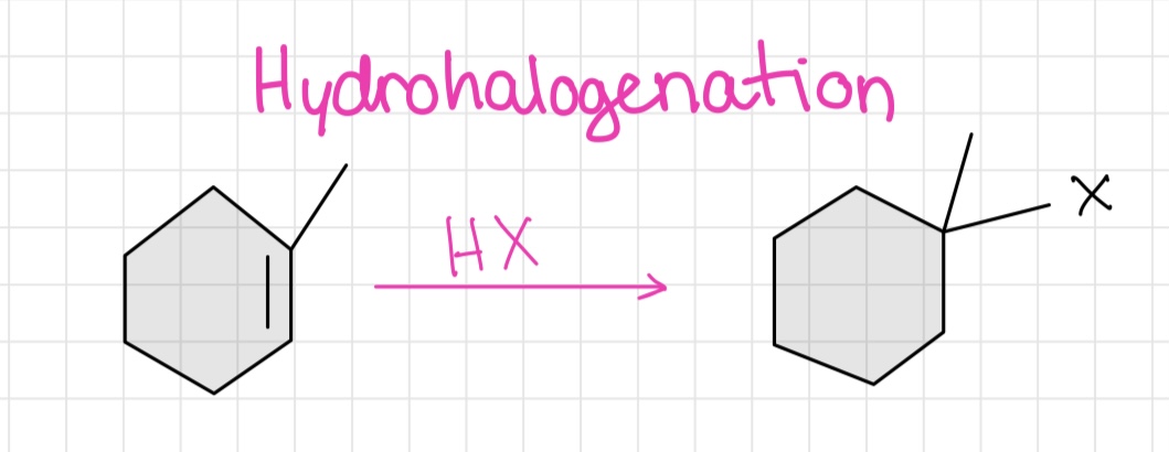 <ul><li><p>H and X</p></li><li><p>Markovnikov rule</p></li><li><p>Dirty H-X is Anti-Markovnikov</p></li></ul>