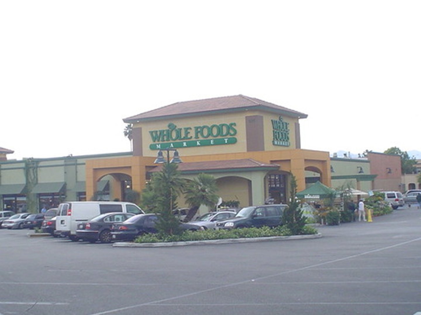 <p>crops that are grown without fertilizers and pesticides</p>