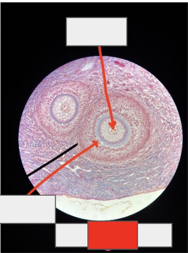 <p>What is this whole thing?</p>