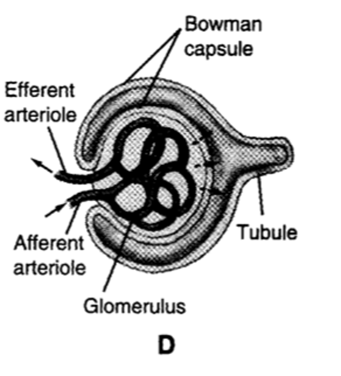 <p>Double walled tubular component.</p>