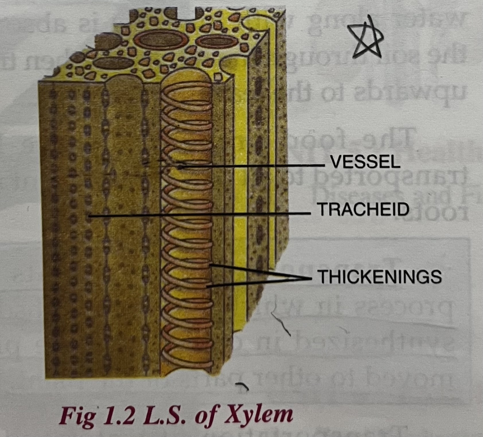 <p>LEARN</p>