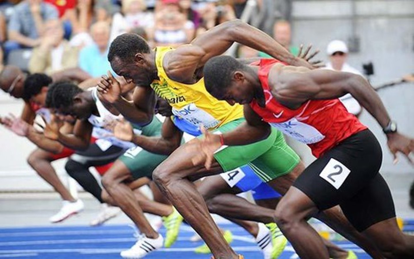 <p>match; competition (bǐ sài)</p>