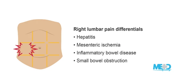 <p>in the middle-right abdomen</p>