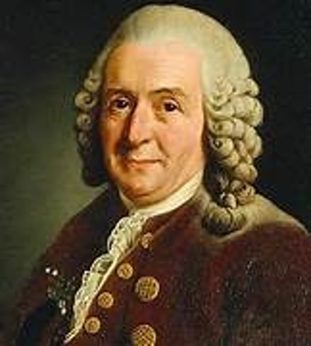 <p>18th century Swedish naturalist who supported the idea of fixed species, but came up with system of binomial nomenclature</p>