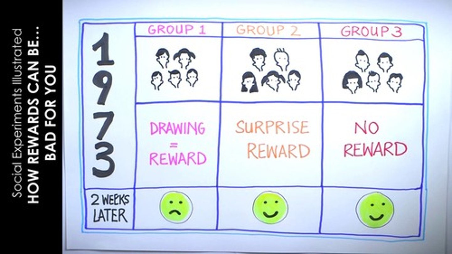 <p>The phenomenon in which external rewards can undermine the intrinsic satisfaction of performing a behavior. For example, a child who loves drawing may lose interest if they start receiving rewards for drawing.</p>