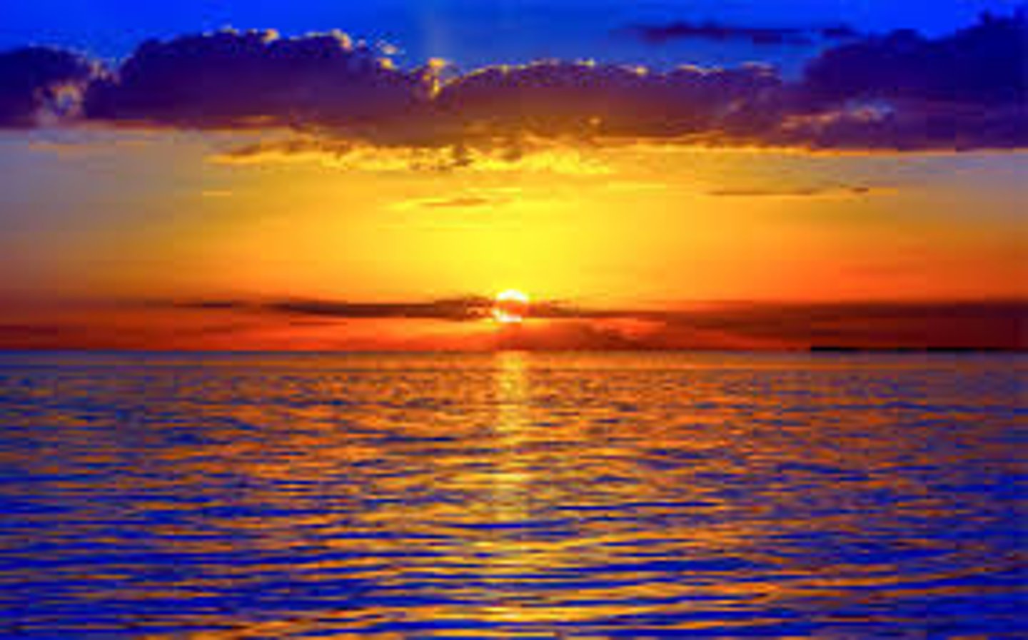 <p>the early morning</p>