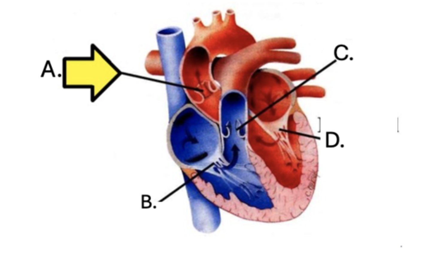 <p>What is C?</p>