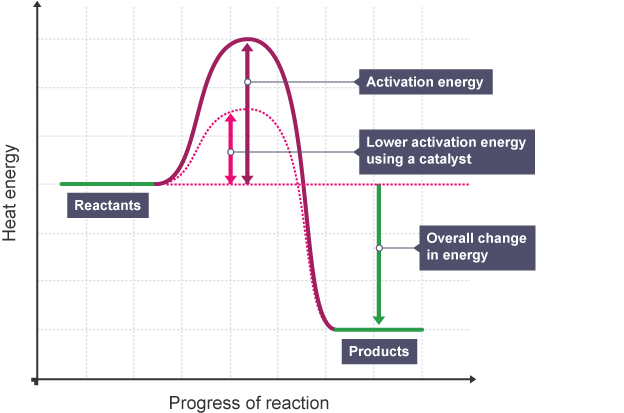 <p>The activation energy decreases</p>