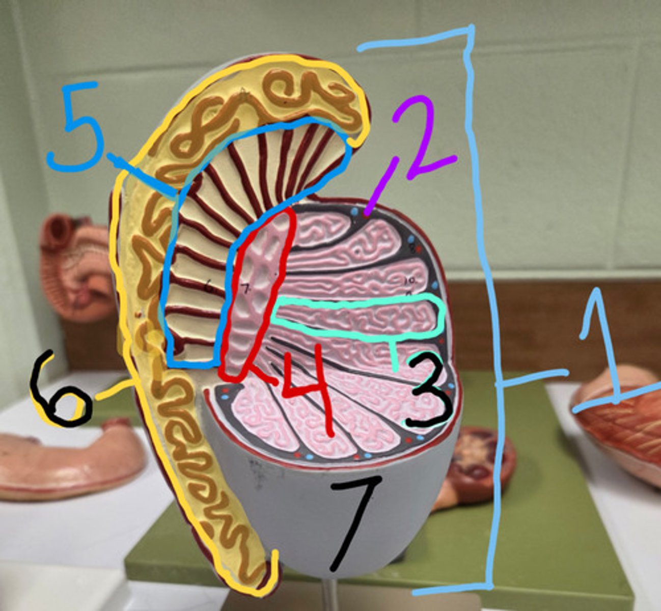 <p>1?</p>