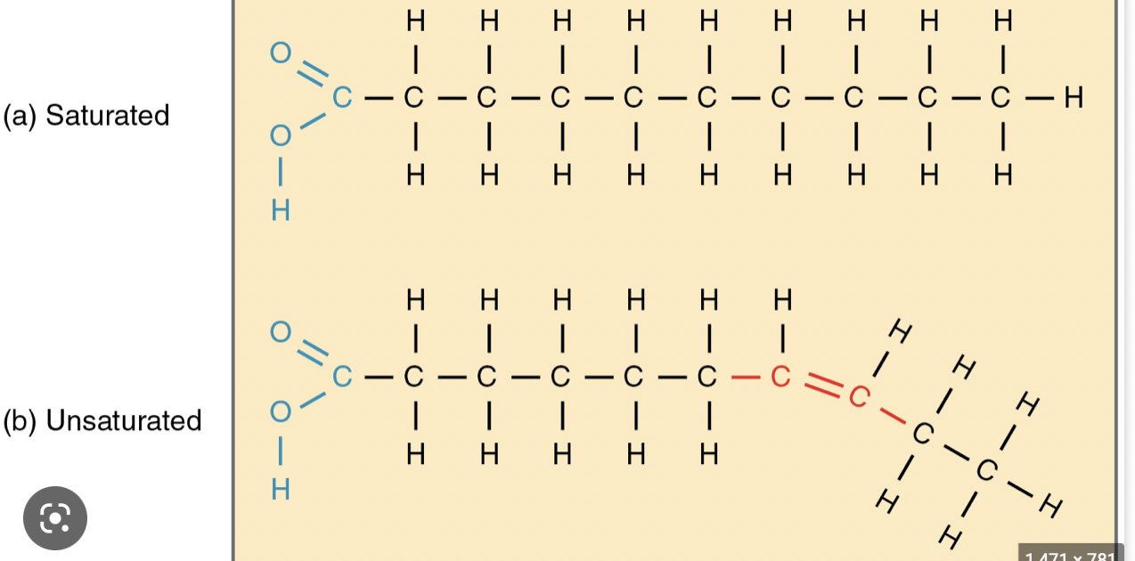 <p><mark data-color="green">Unsat</mark></p><ul><li><p>Cis double bonds</p></li><li><p>Fewer hydrogens</p></li><li><p>Liquid at room temperature because the double bonds  cause kinks in the chain and cannot pack tightly together</p></li><li><p>Plants and fish, called oils</p></li></ul><p><mark data-color="yellow">Sat</mark></p><ul><li><p>No double bonds</p></li><li><p>Hydrogen in every available spot</p></li><li><p>Solid at room temp because the molecules can pack close together</p></li></ul>