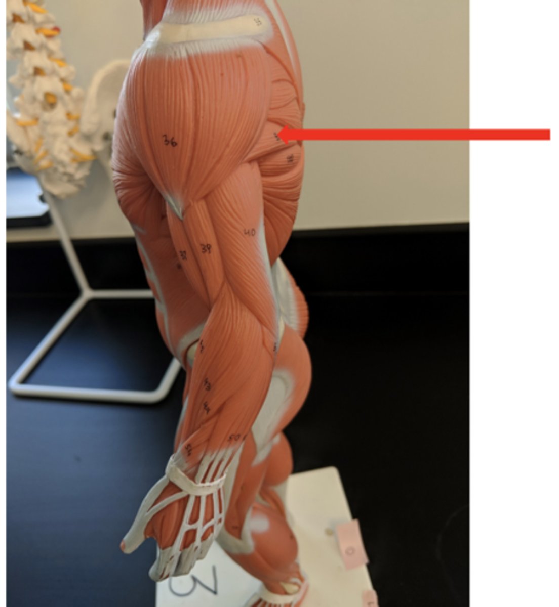 <p>what is this?</p>