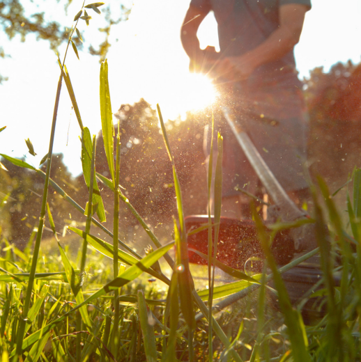<p><strong>夫</strong></p><p>Words:</p><p>夫　おっと　Husband　</p><p>夫婦　ふうふ　Married couple</p>