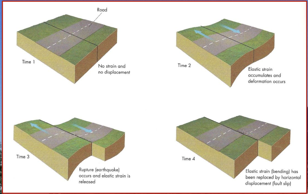 Definition:

* A hypothesis that explains successive earthquakes on a fault

\
It is based on the idea that *strain* drops abruptly after an earthquake and then slowly accumulates until the next earthquake.

\
\
