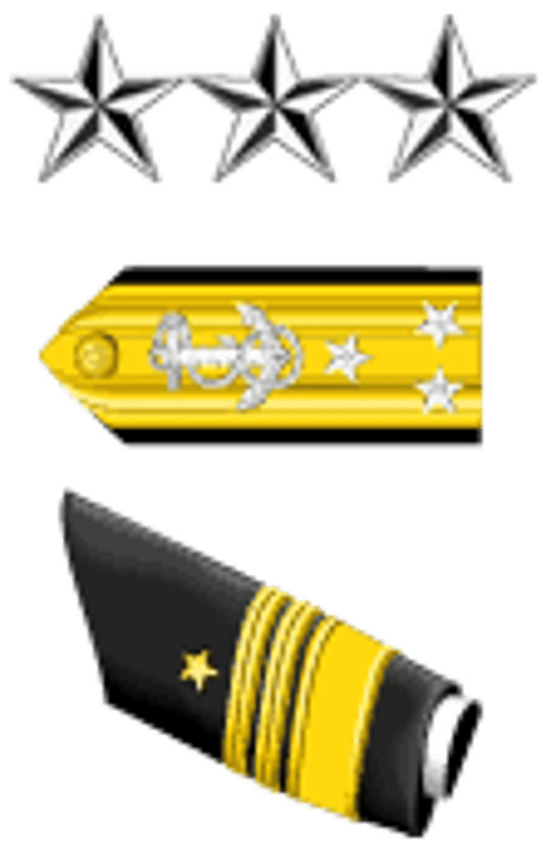 <p>Vice Admiral</p>