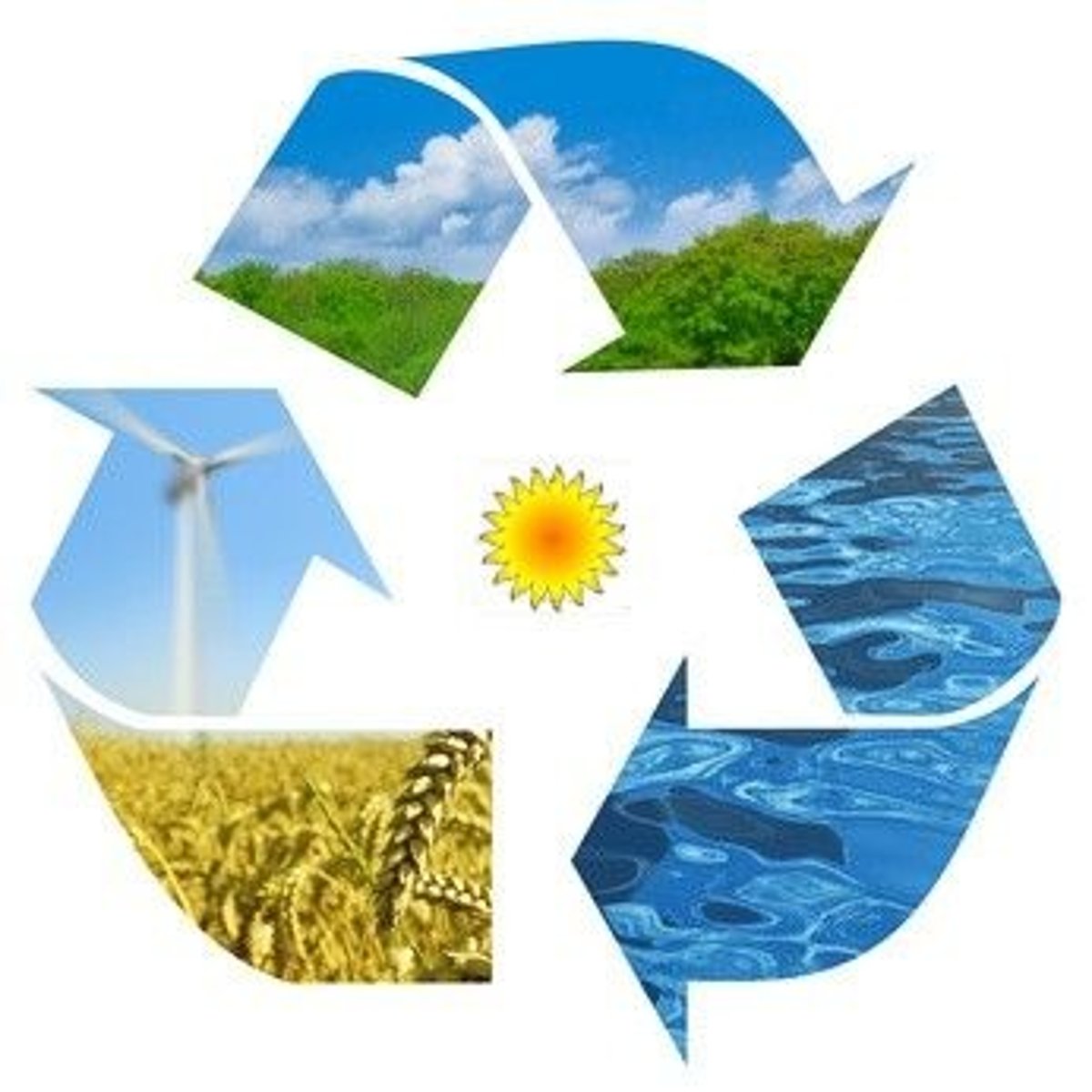 <p>renewable energy (wind energy, solar power)</p>