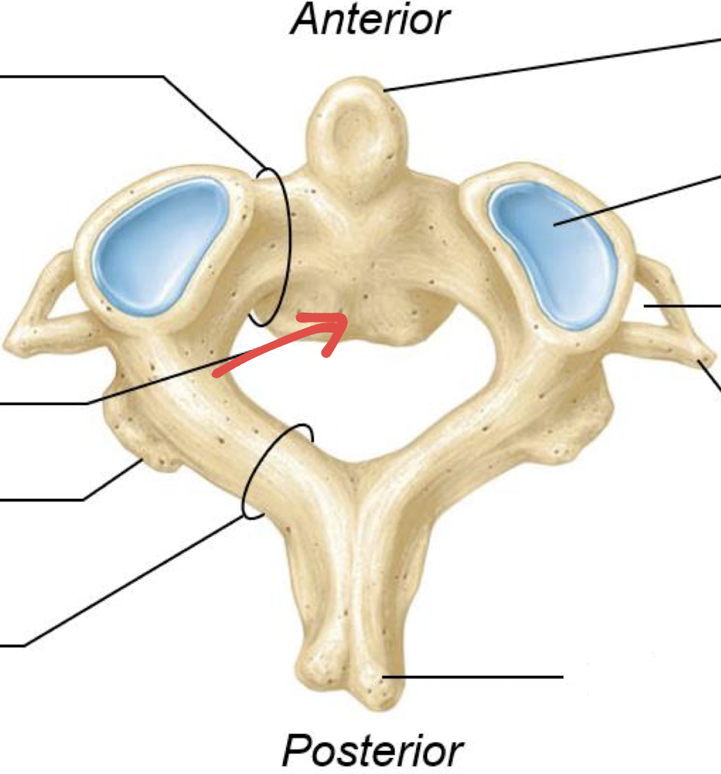 <p>what is this?</p>