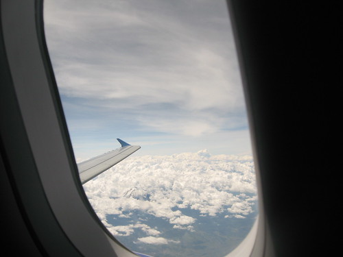 window