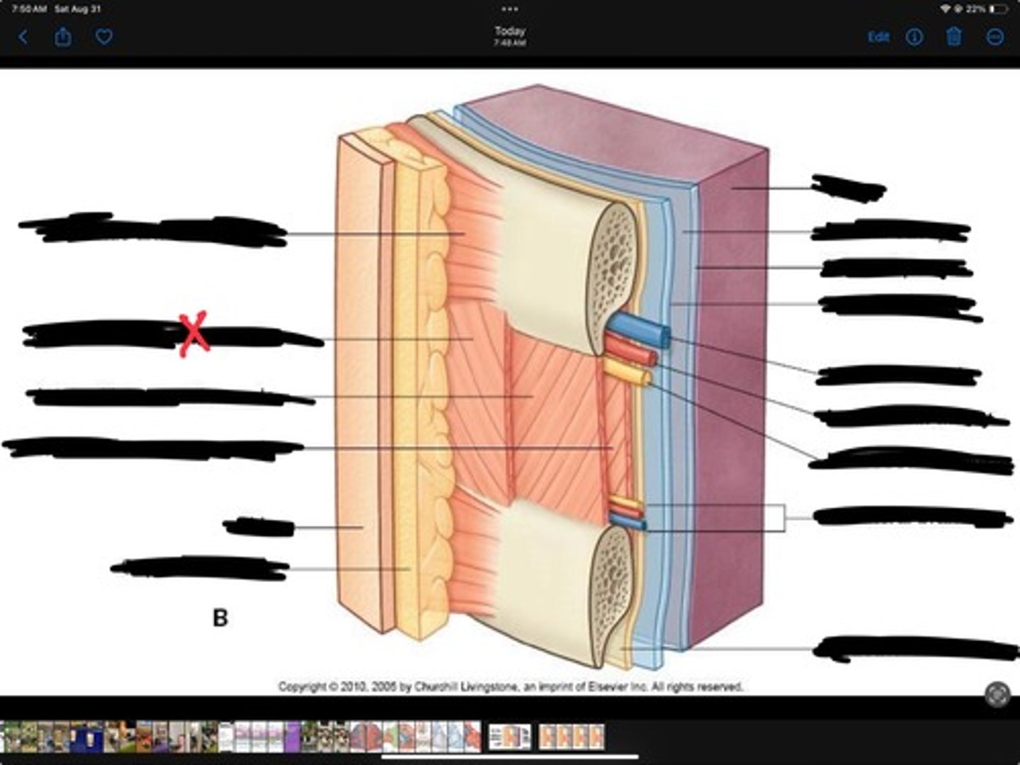 knowt flashcard image