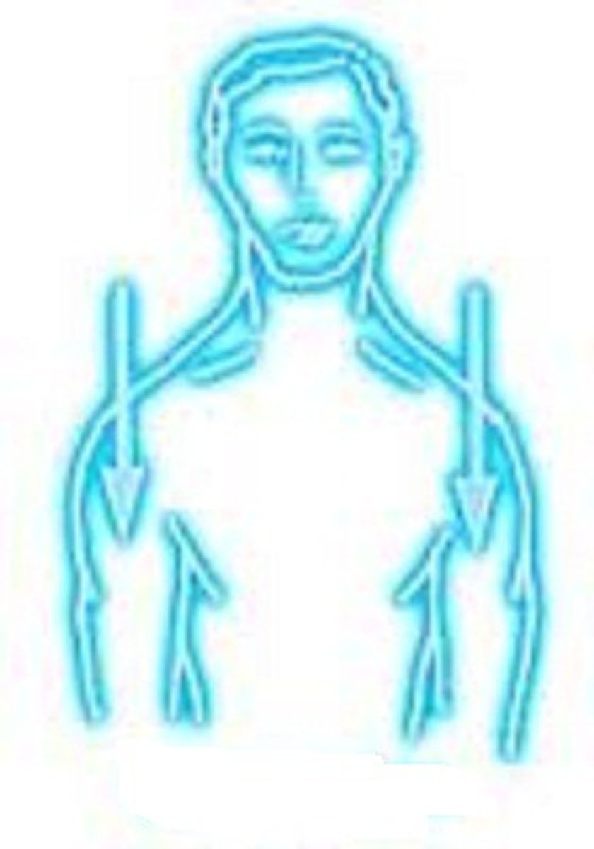 <p>what movement</p>