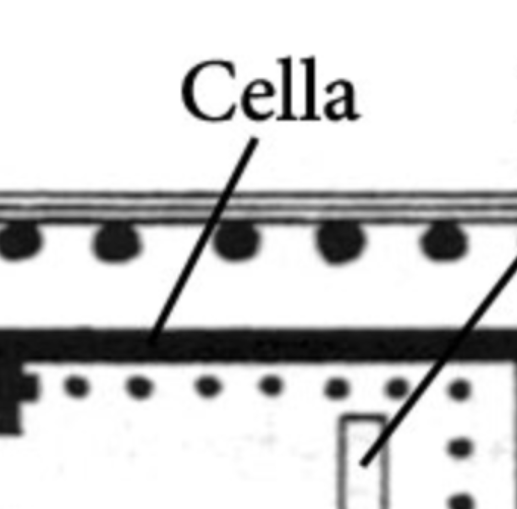 Cella
