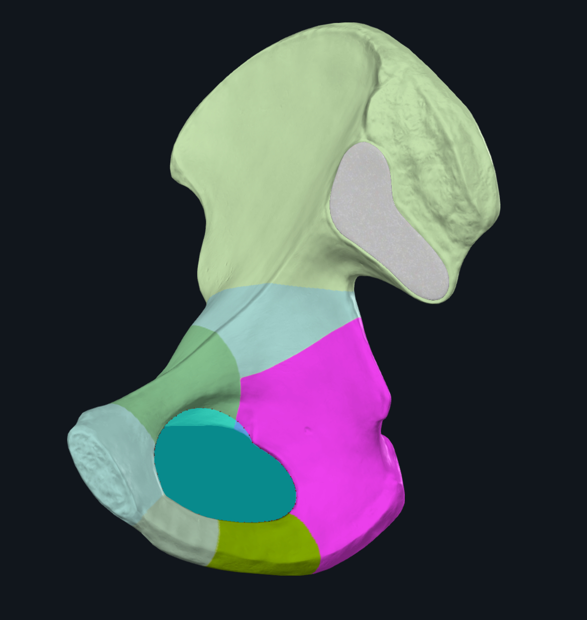 term image