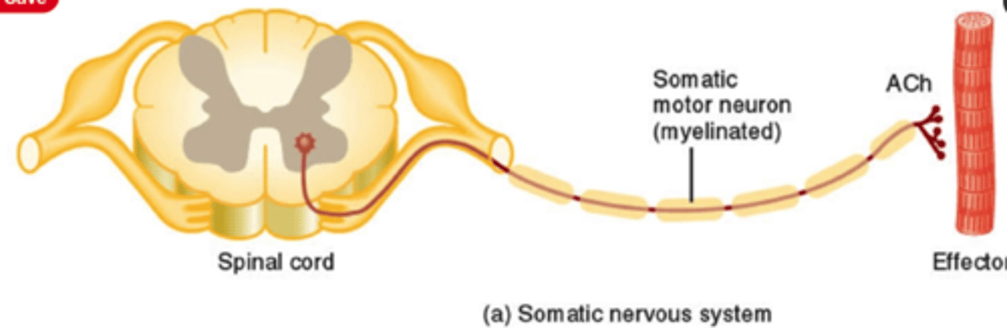 <p>See Image</p>
