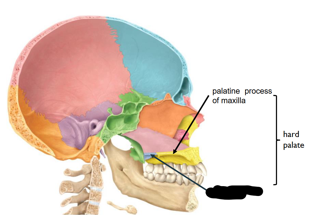 <p>What structure is this?</p>
