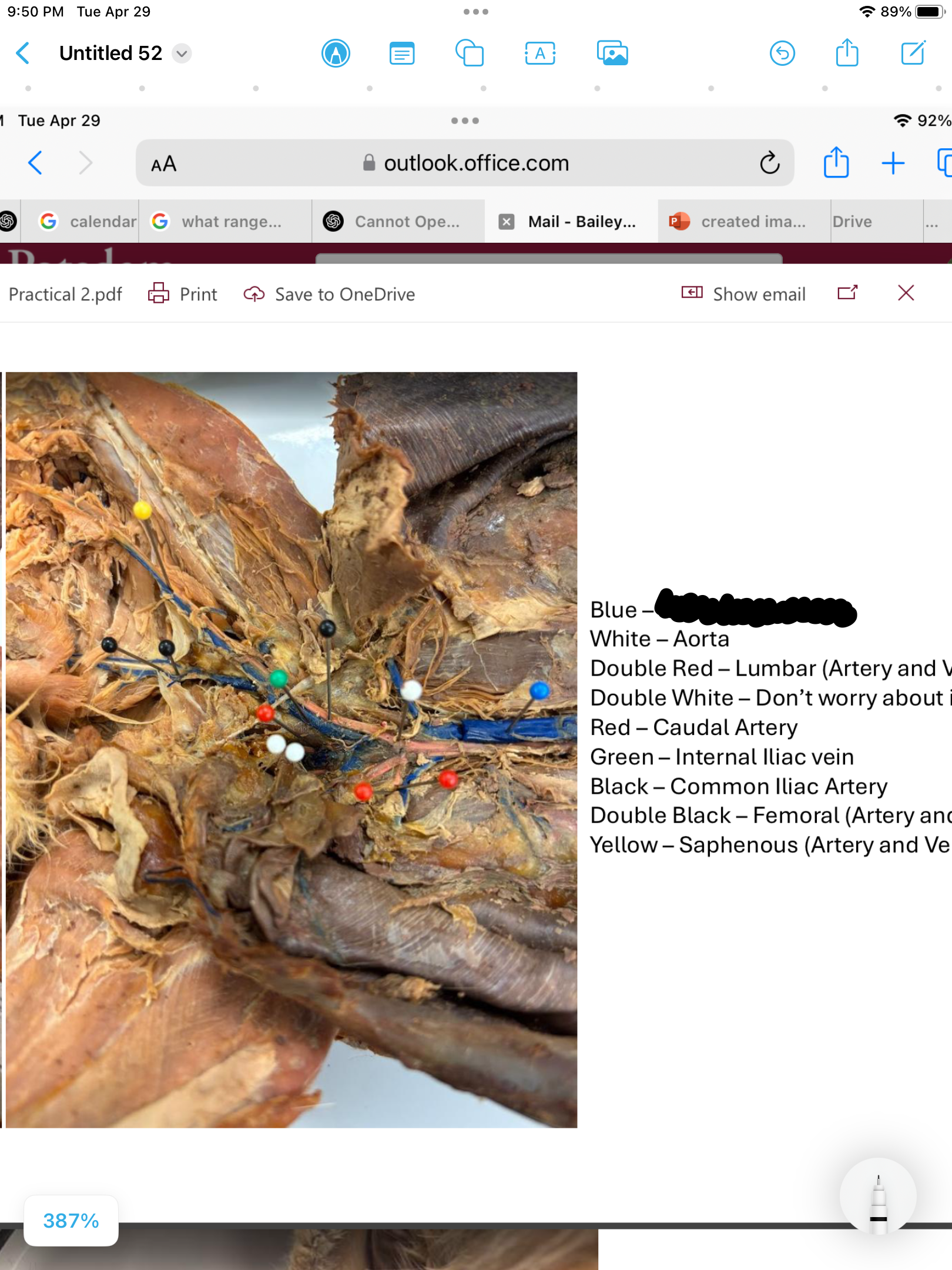 <p>label the area</p>