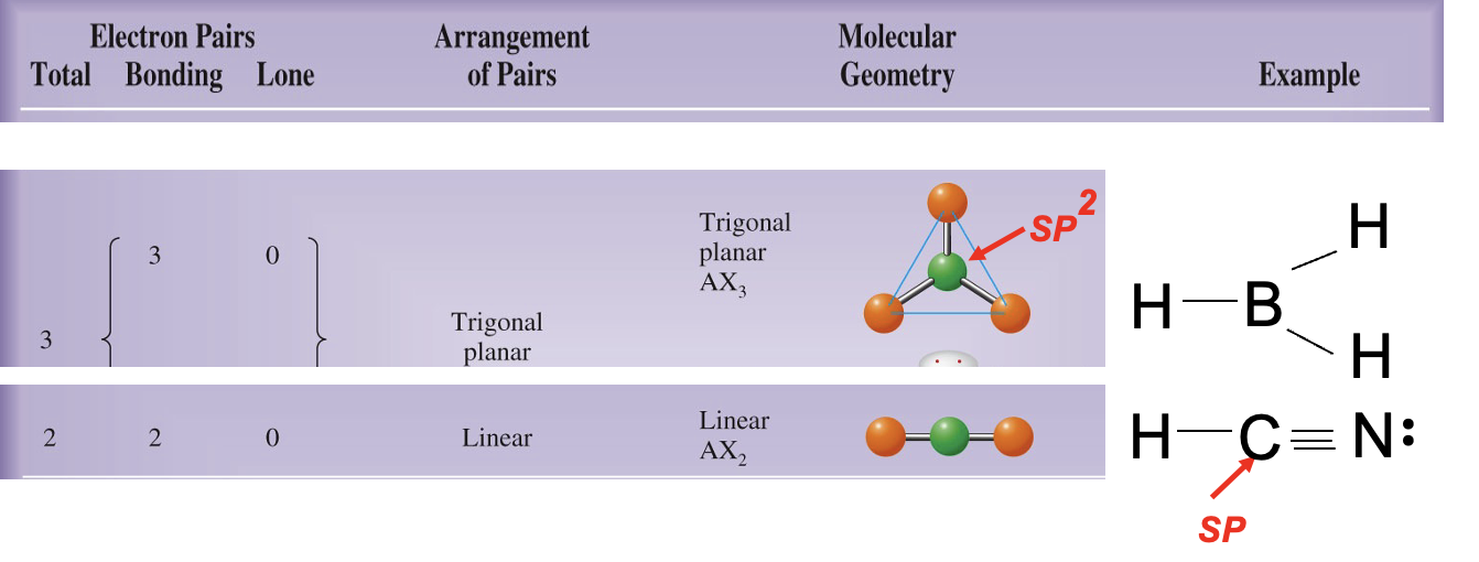<p>SP hybridization forms two orbitals in a linear arrangement (180°); two unhybridized p orbitals can participate in π bonding.</p>