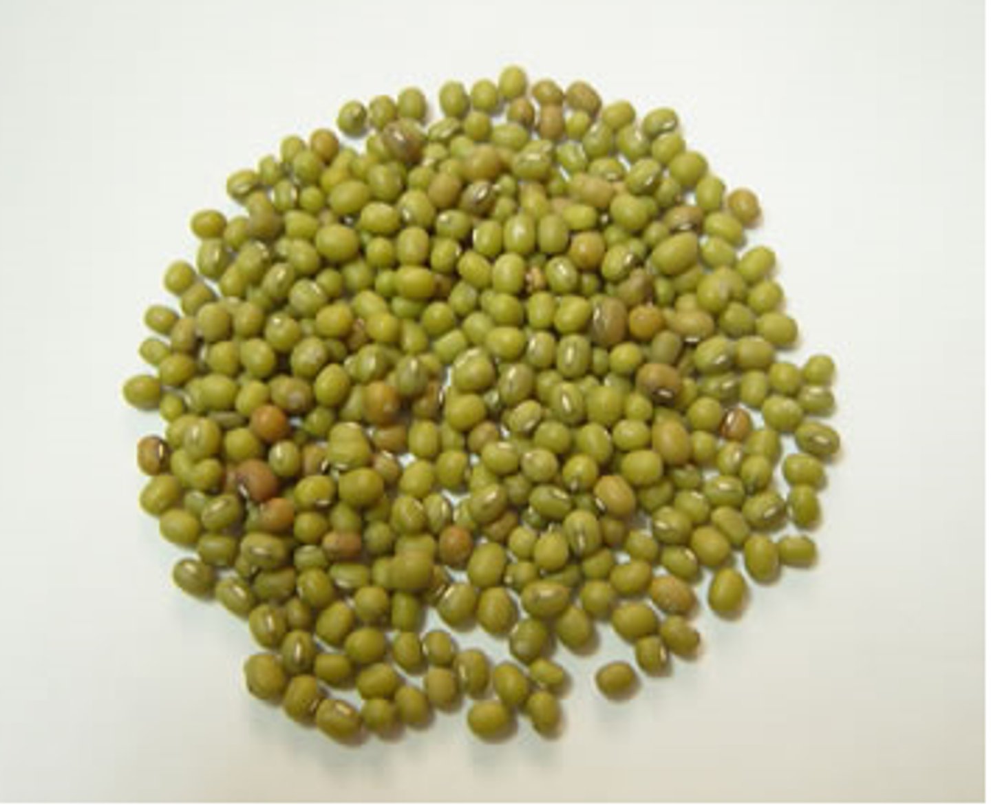 <p>(dòu)</p><p>bean</p>