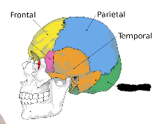 <p>what is this?</p>