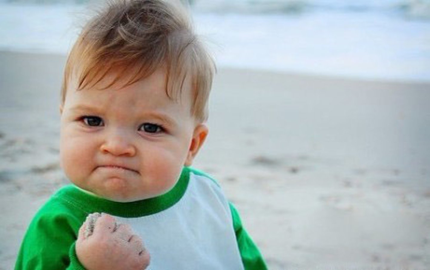 <p>nǔlì — прилежный, усердный</p>