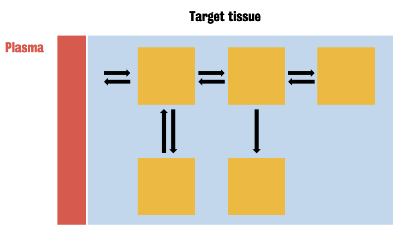 Example of a compartment model