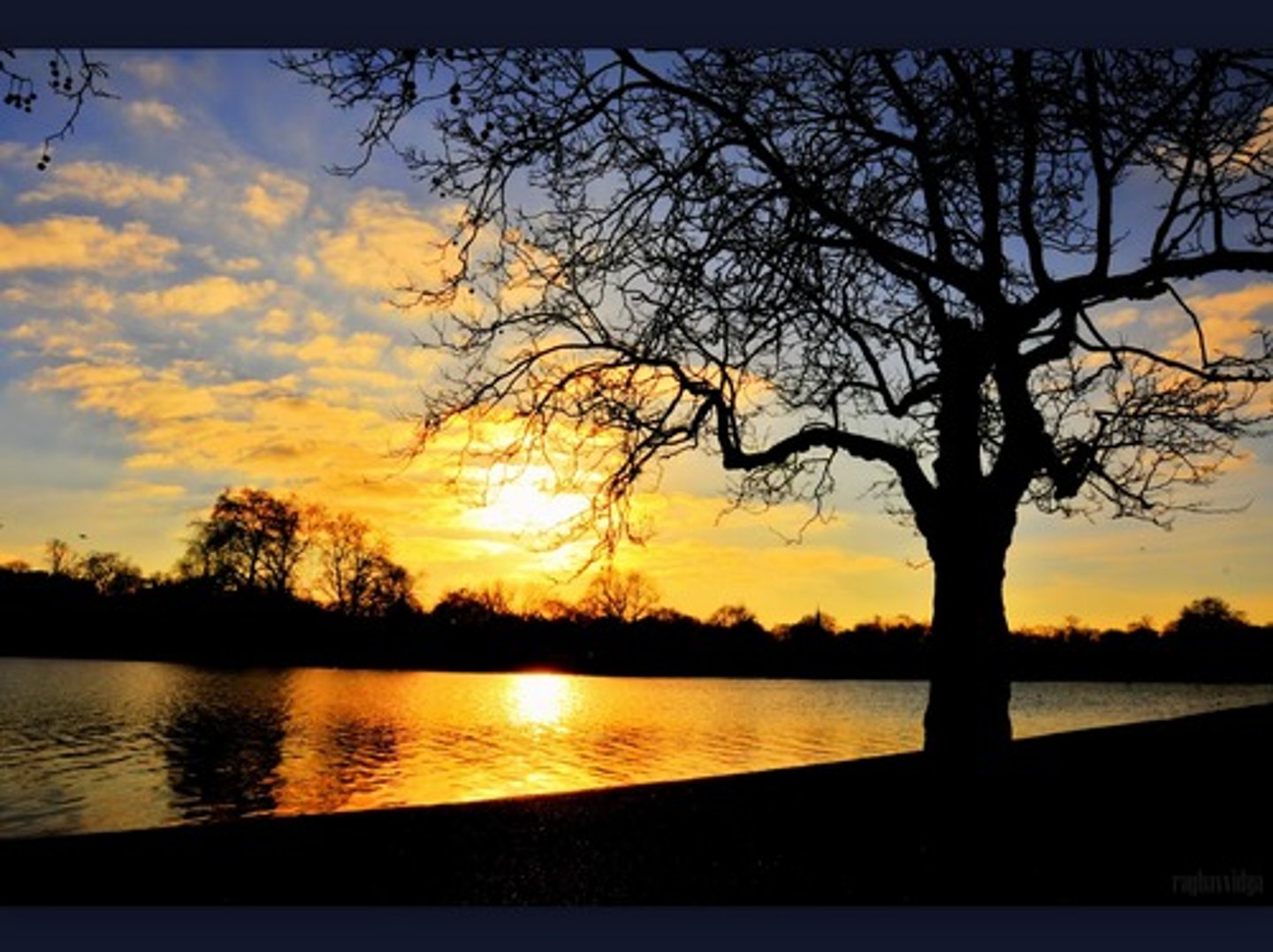 <p>Good evening!</p>