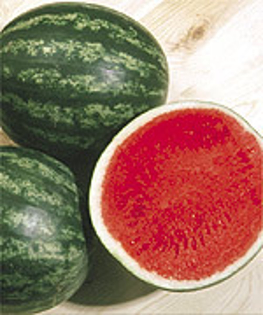 <p>End seed dormancy by encouraging early germination, promote flowering, increase fruit size and produce seedless fruit</p>