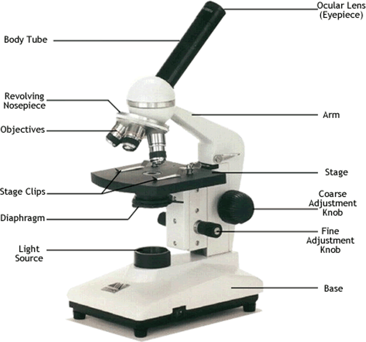 <p>Uses light to form an image, light has a longer wavelength than electrons, so this microscope has a lower resolution than the electron microscopes.</p>