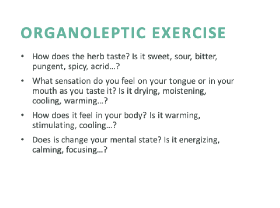 <p>A practice involving sensory evaluation of herbs using taste, smell, touch, and sight to assess their quality and properties. </p>