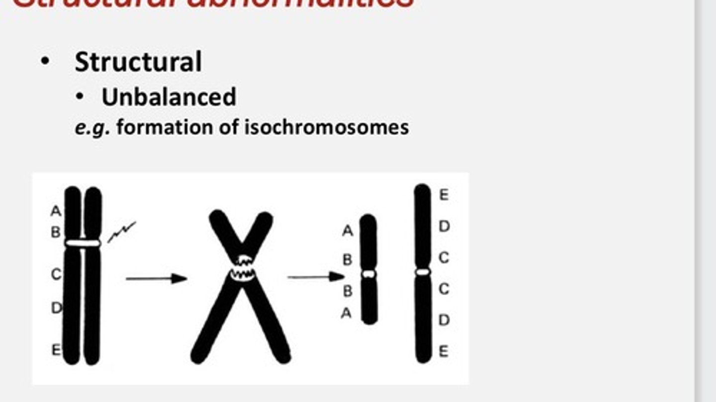 <p>The centromere divides HORIZONTALLY instead of vertically</p><p>magine splitting a book:</p><p>• One copy gets only chapters 1-5 twice</p><p>• Another gets only chapters 6-10 twice</p><p>👉 Each copy is missing half the information, even though nothing was "lost overall"</p><p>sochromosomes cause duplication of one arm and loss of the other because each resulting chromosome contains only one arm, and cells inherit only one of these abnormal chromosomes.</p>