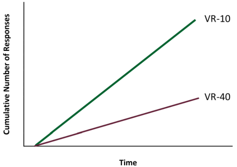 <p>Linear</p><p>Slope is average number of responses before reinforcement. ↑ reinforcement frequency = ↑ response rate</p><ul><li><p>VR-10 has steeper slope than VR-40</p></li></ul><p></p>