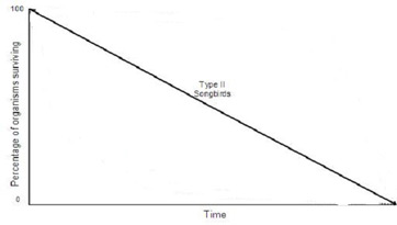 <p>a pattern of survival over time in which there is a relatively constant decline in survivorship throughout most of the life span (eg. song bird, specialist species)</p>
