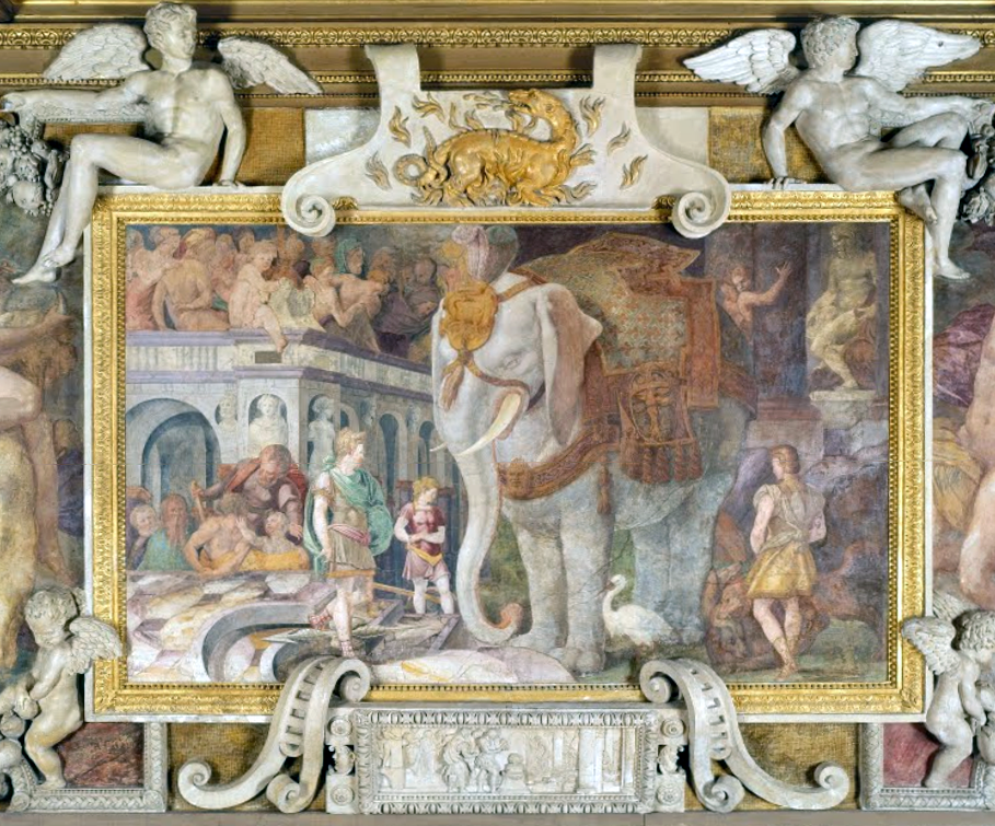 term image