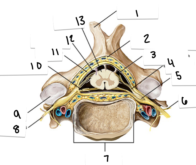 <p>what is 8?</p>