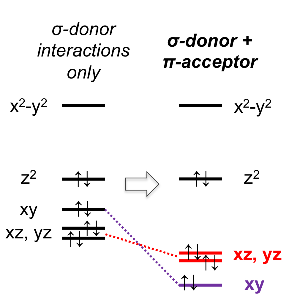 <ul><li><p>What is the relationship between <strong>orbital overlap</strong> and stabilization?</p></li><li><p>What is the relationship between <strong>energy difference between orbitals</strong> and stabilization?</p></li><li><p>How can you explain the extra stabilization of the <strong>xy orbital</strong> in a square planar complex with CN as the ligands involved in pi-back donation?</p></li><li><p>How can you explain the extra stabilization of the <strong>xz/yz</strong> orbital in a square planar complex with CN as the ligands involved in pi-back donation?</p></li></ul><p></p>