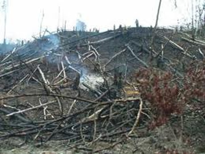 <p>Slash and Burn agriculture - clear land of vegetation (usually by burning) and use land until nutrients in field are depleted (scars the landscape). Use of land only 2-3 years. Very damaging to the environment but used to support most of the world's people in the developing world</p>