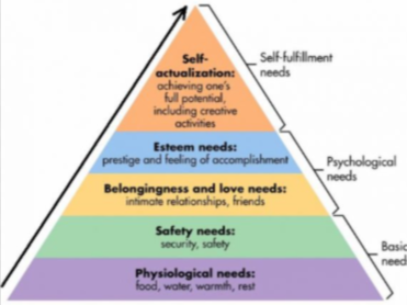 <p><span>theories that view personality with a focus on potential for healthy personal growth&nbsp;</span></p><ul><li><p><span><strong>Maslow Hierarchy of Needs </strong></span></p></li></ul><p></p>