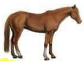 <p>What color is this?</p>