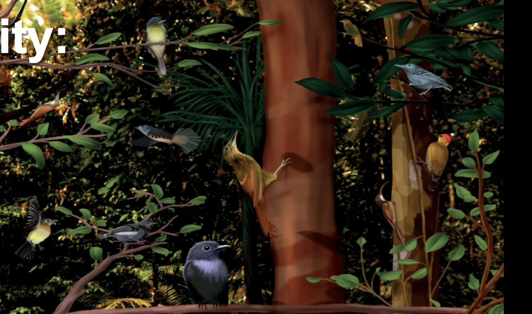 <p>A set of ecologically interacting organisms of different species that occur in the same location.</p>