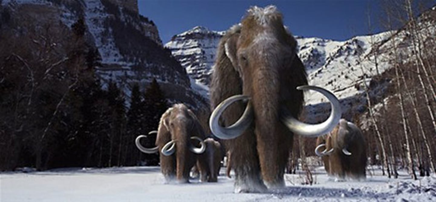 <p>A long time period of extreme cold and ice.</p>