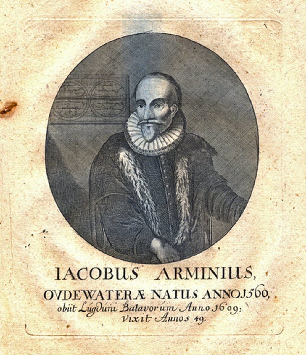 <p>A dutch theological who was a student of Beza</p>